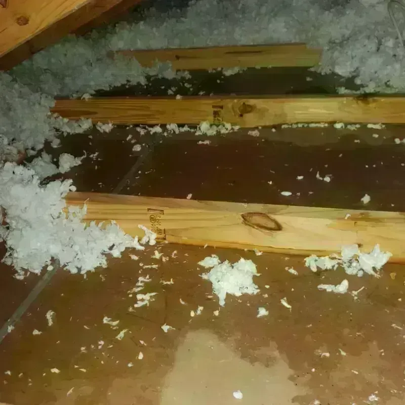 Attic Water Damage in Soperton, GA